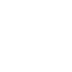 F.I.R.E